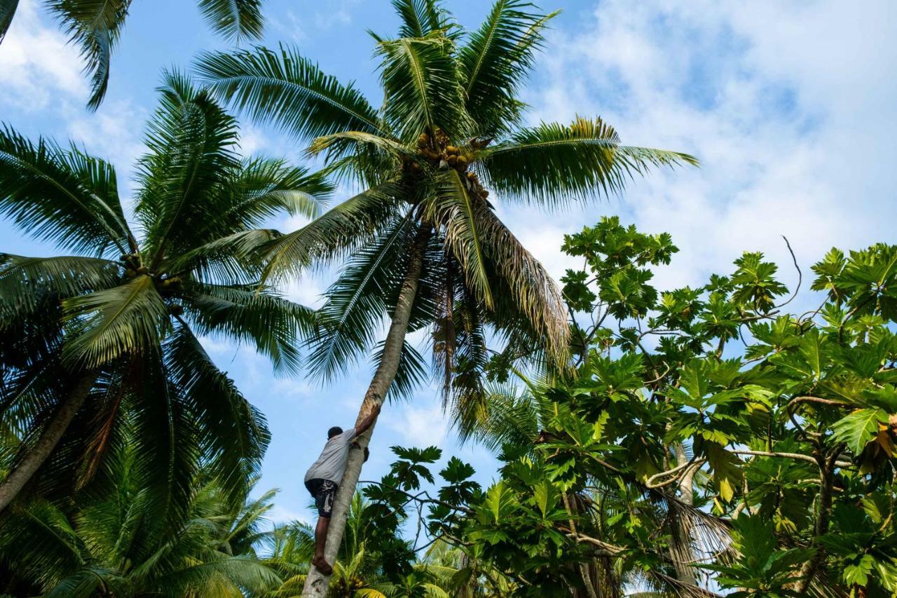 Raja Ampat Biodiversity Nature Resort Exterior foto