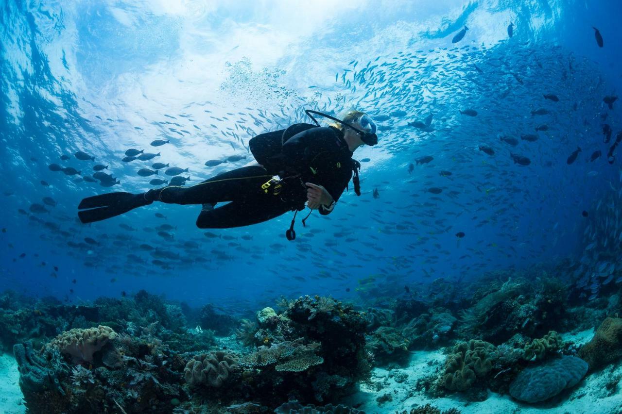 Raja Ampat Biodiversity Nature Resort Exterior foto